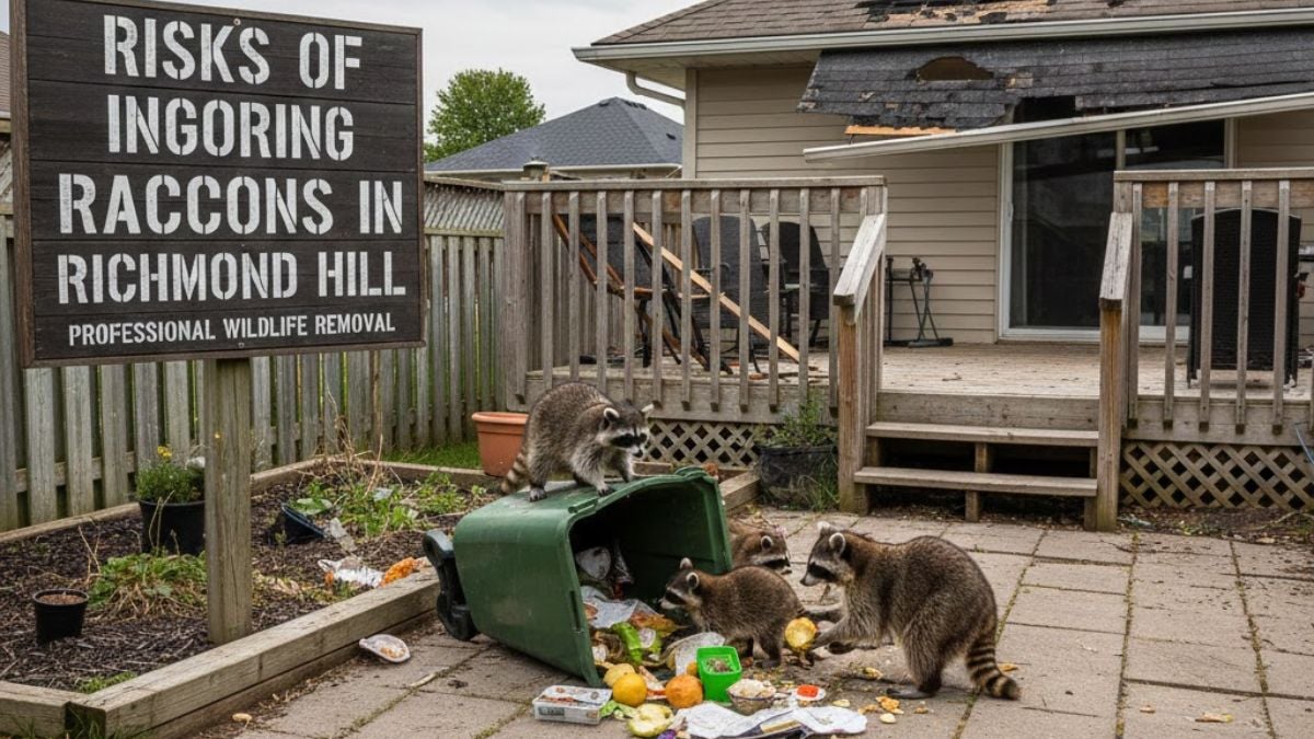 Pest control in Richmond Hill