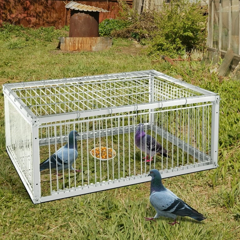 Bird Removal — image 2