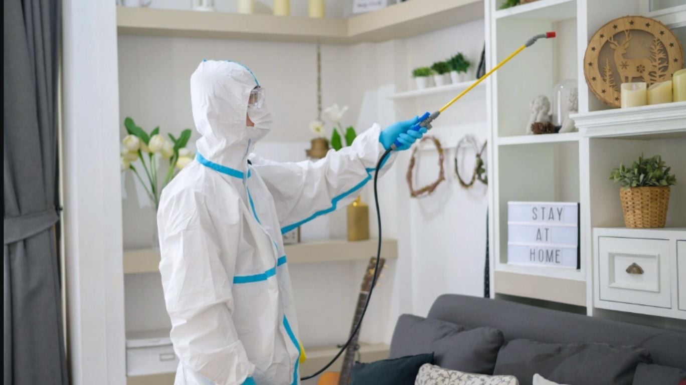 Licensed pest control technician